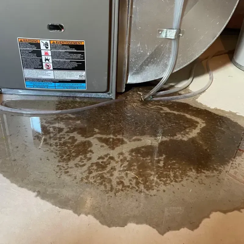 Appliance Leak Cleanup in Carriere, MS